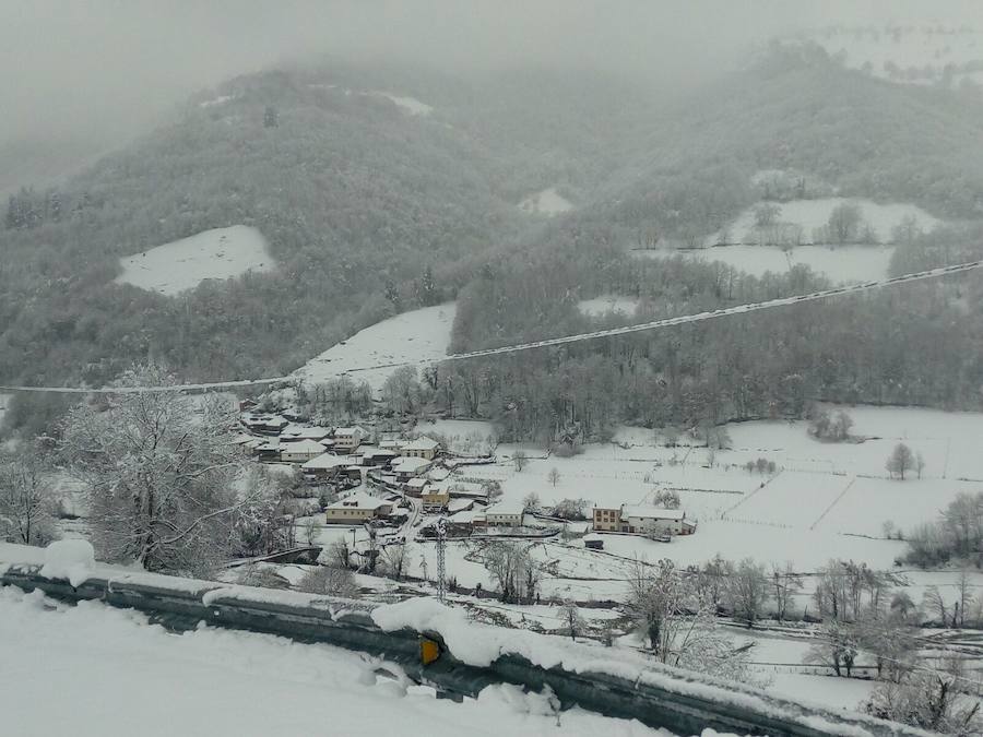 La nieve ha cubierto de un manto blanco gran parte del Suroccidente de Asturias, donde ha dejado importantes problemas en comunicaciones e infraestructuras eléctricas. Una de las vías con mayores complicaciones es el puerto de Leitariegos, en Cangas del Narcea.