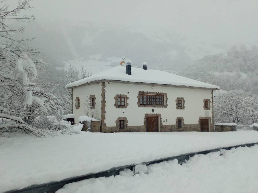 La nieve ha cubierto de un manto blanco gran parte del Suroccidente de Asturias, donde ha dejado importantes problemas en comunicaciones e infraestructuras eléctricas. Una de las vías con mayores complicaciones es el puerto de Leitariegos, en Cangas del Narcea.