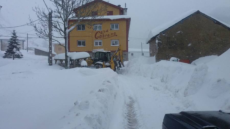 La nieve ha cubierto de un manto blanco gran parte del Suroccidente de Asturias, donde ha dejado importantes problemas en comunicaciones e infraestructuras eléctricas. Una de las vías con mayores complicaciones es el puerto de Leitariegos, en Cangas del Narcea.