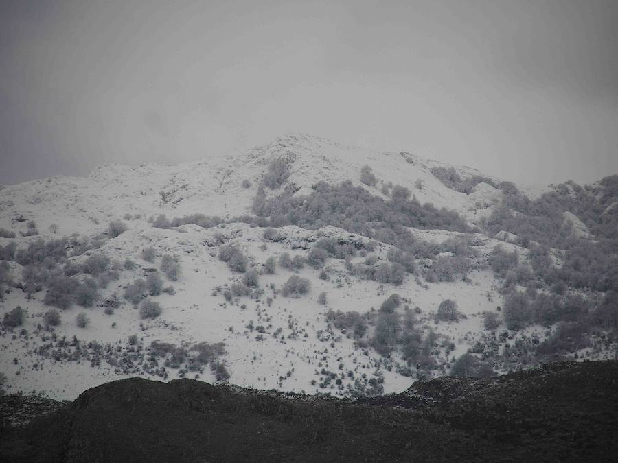 Localidades del Oriente de Asturias como Tielve o La Robellada están bajo un manto blanco. Las carreteras presentan cuantiosos problemas y el riesgo de aludes es importante en puntos como Sotres. 