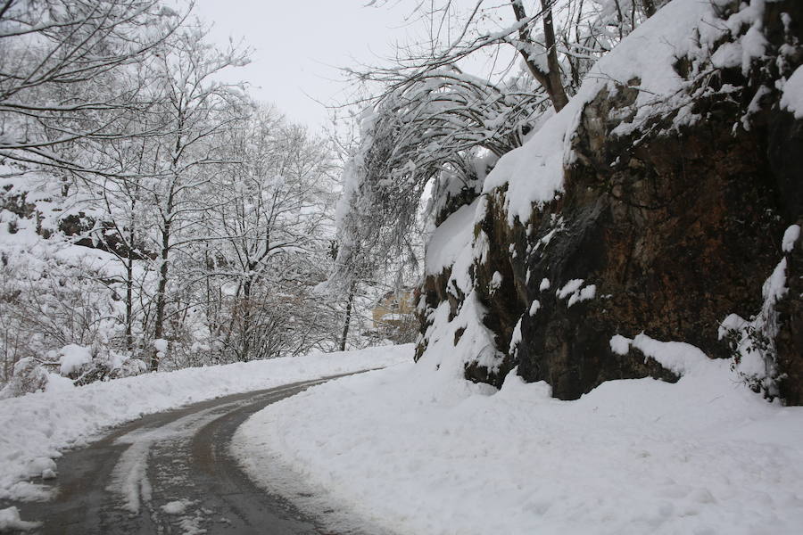 Localidades del Oriente de Asturias como Tielve o La Robellada están bajo un manto blanco. Las carreteras presentan cuantiosos problemas y el riesgo de aludes es importante en puntos como Sotres. 