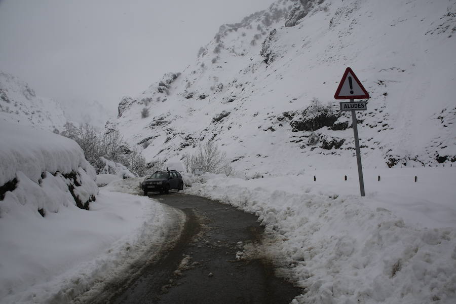 Localidades del Oriente de Asturias como Tielve o La Robellada están bajo un manto blanco. Las carreteras presentan cuantiosos problemas y el riesgo de aludes es importante en puntos como Sotres. 