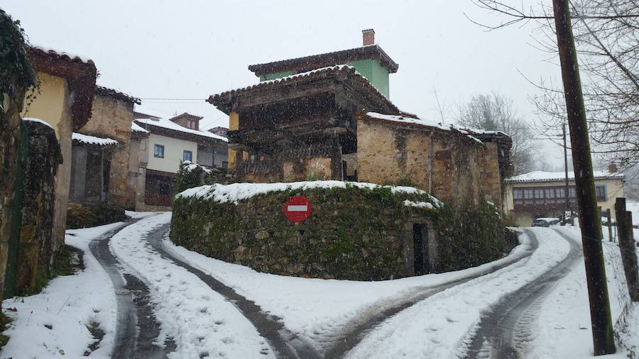 Localidades del Oriente de Asturias como Tielve o La Robellada están bajo un manto blanco. Las carreteras presentan cuantiosos problemas y el riesgo de aludes es importante en puntos como Sotres. 