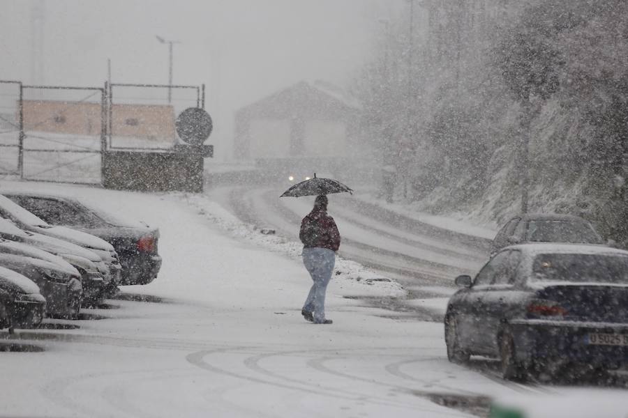 Oriente, Occidente, Valles Mineros... Incluso Oviedo ha vivido este miércoles una jornada marcada por las intensas precipitaciones en forma de nieve, que sigue cayendo en cotas bajas.