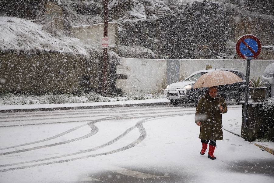 Oriente, Occidente, Valles Mineros... Incluso Oviedo ha vivido este miércoles una jornada marcada por las intensas precipitaciones en forma de nieve, que sigue cayendo en cotas bajas.