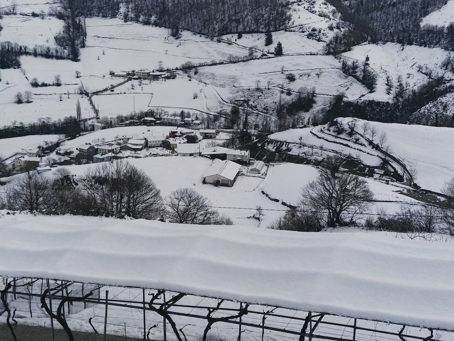 Oriente, Occidente, Valles Mineros... Incluso Oviedo ha vivido este miércoles una jornada marcada por las intensas precipitaciones en forma de nieve, que sigue cayendo en cotas bajas.