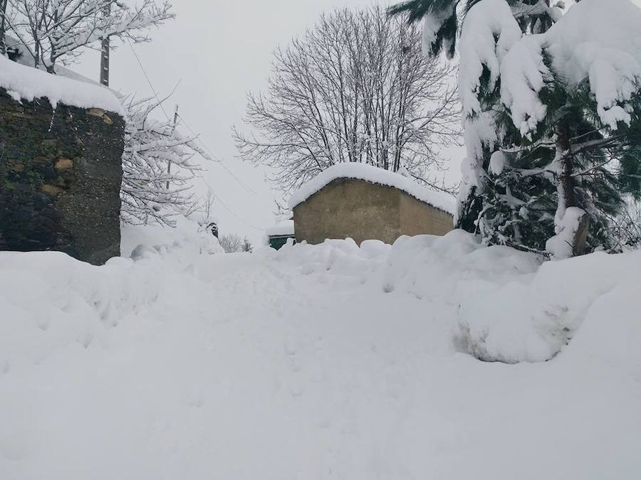 Oriente, Occidente, Valles Mineros... Incluso Oviedo ha vivido este miércoles una jornada marcada por las intensas precipitaciones en forma de nieve, que sigue cayendo en cotas bajas.