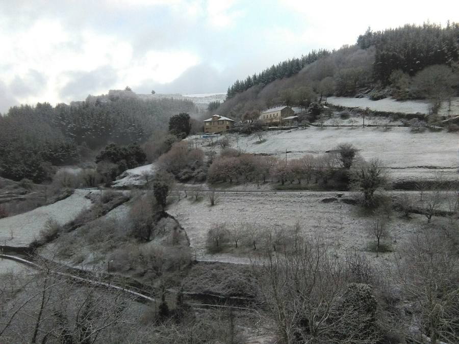 La cuenca media y alta del Navia y la comarca de los Oscos están cubiertas de un manto blanco. La nieve está dejando bellas estampas, pero está causando problemas en las comunicaciones y el suministro eléctrico.