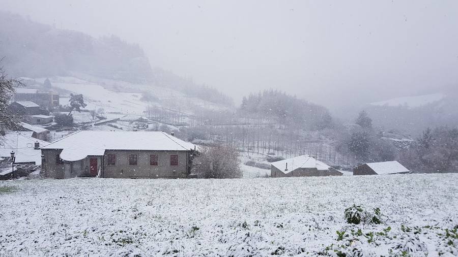 La cuenca media y alta del Navia y la comarca de los Oscos están cubiertas de un manto blanco. La nieve está dejando bellas estampas, pero está causando problemas en las comunicaciones y el suministro eléctrico.