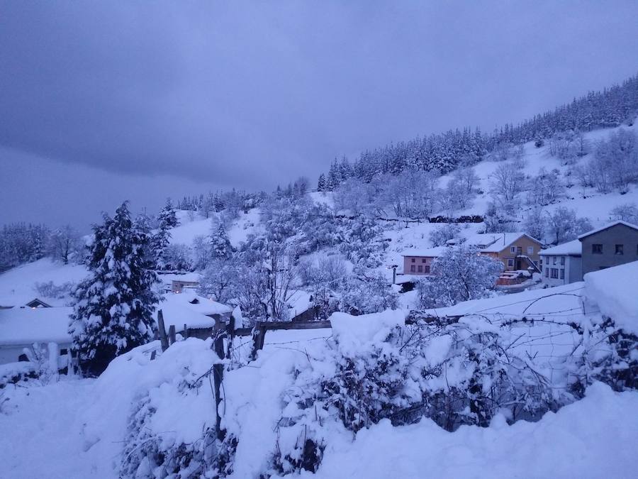 La cuenca media y alta del Navia y la comarca de los Oscos están cubiertas de un manto blanco. La nieve está dejando bellas estampas, pero está causando problemas en las comunicaciones y el suministro eléctrico.