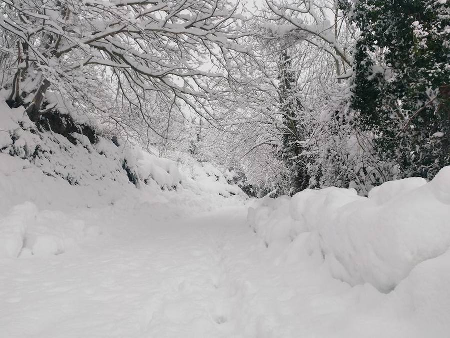 La cuenca media y alta del Navia y la comarca de los Oscos están cubiertas de un manto blanco. La nieve está dejando bellas estampas, pero está causando problemas en las comunicaciones y el suministro eléctrico.