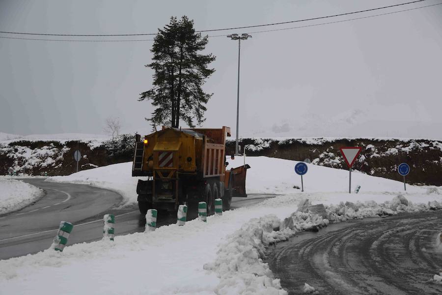 Oriente, Occidente, Valles Mineros... Incluso Oviedo ha vivido este miércoles una jornada marcada por las intensas precipitaciones en forma de nieve, que sigue cayendo en cotas bajas.