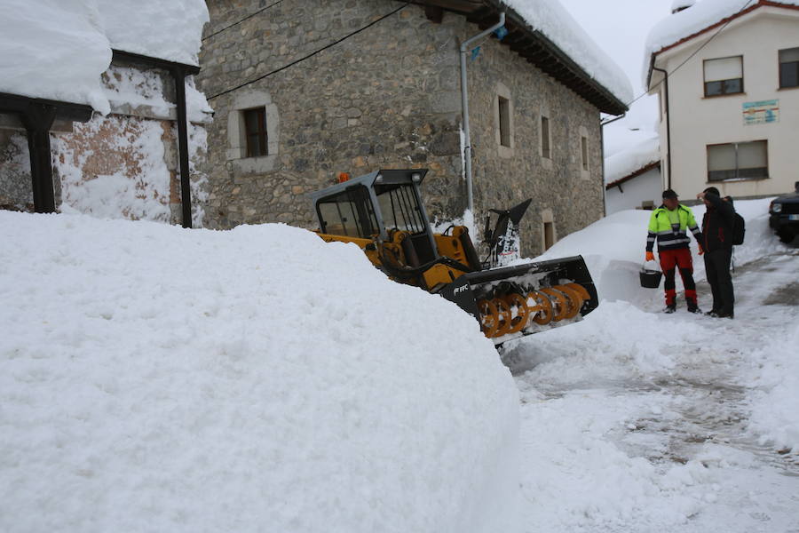 Oriente, Occidente, Valles Mineros... Incluso Oviedo ha vivido este miércoles una jornada marcada por las intensas precipitaciones en forma de nieve, que sigue cayendo en cotas bajas.