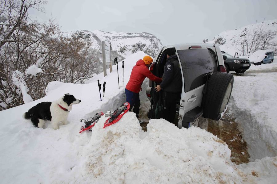 Más de un metro de nieve rodea el acceso de Sotres, en el concejo de Cabrales. El paso quedó cerrado ayer por aludes, cuyo riesgo de caída sigue siendo muy alto.