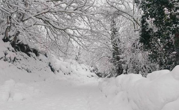 Imagen. La nieve tiñe Asturias de blanco.