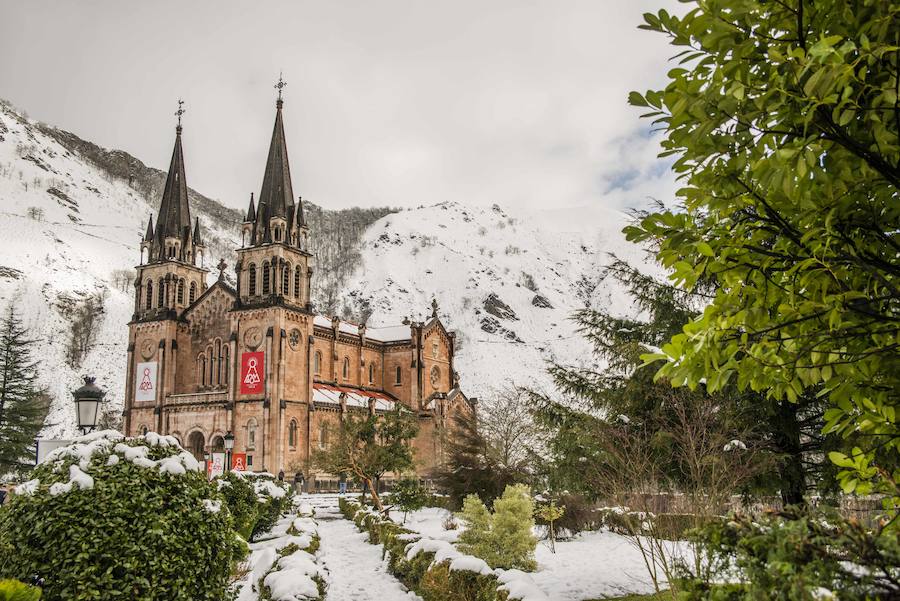 Las nevadas de los últimos días han llegado también hasta Covadonga que se ha cubierto de un manto blanco. Muchos turistas se han acercado hasta el Real Sitio para ver y fotografiar la estampa