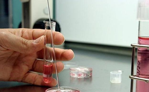 Uno de los procesos de la fecundación in vitro