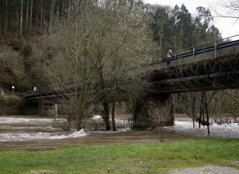 La localidad praviana de Quinzanas está en prealerta por el alto nivel del cauce del Narcea