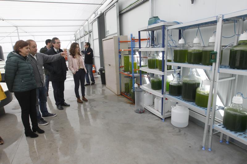 La alcaldesa de Gijón, Carmen Moriyón, y varios representantes municipales han visitado las instalaciones de la empresa Neoalgae, dedicada a la fabricación de diferentes productos a partir de algas.