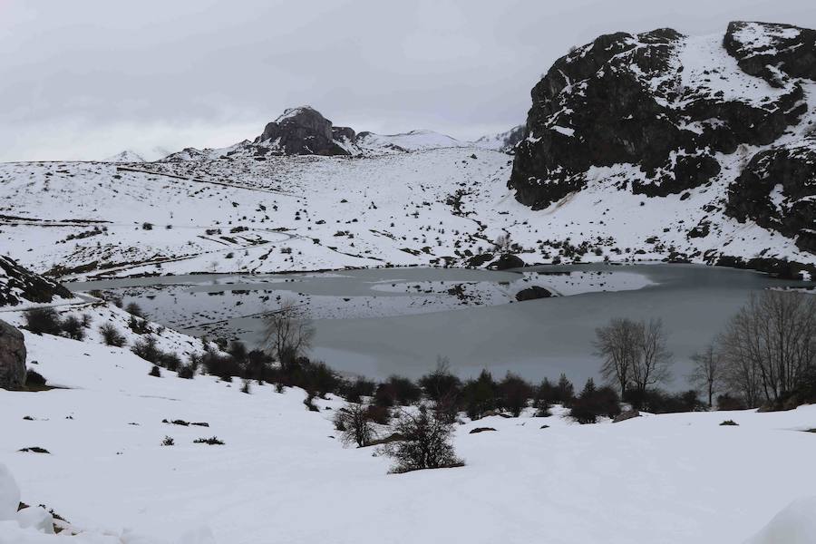 Fin de semana de nieve en Los Lagos de Covadonga - Asturias