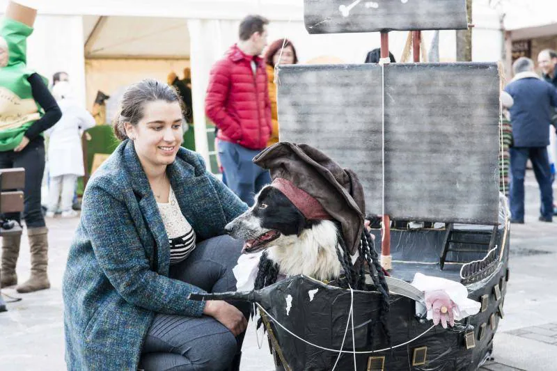 El antroxu cangués disfrutó de un divertido desfile en el que los perros pasearon divertidos atuendos.