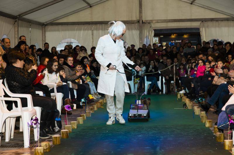 El antroxu cangués disfrutó de un divertido desfile en el que los perros pasearon divertidos atuendos.