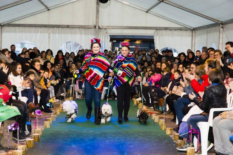 El antroxu cangués disfrutó de un divertido desfile en el que los perros pasearon divertidos atuendos.