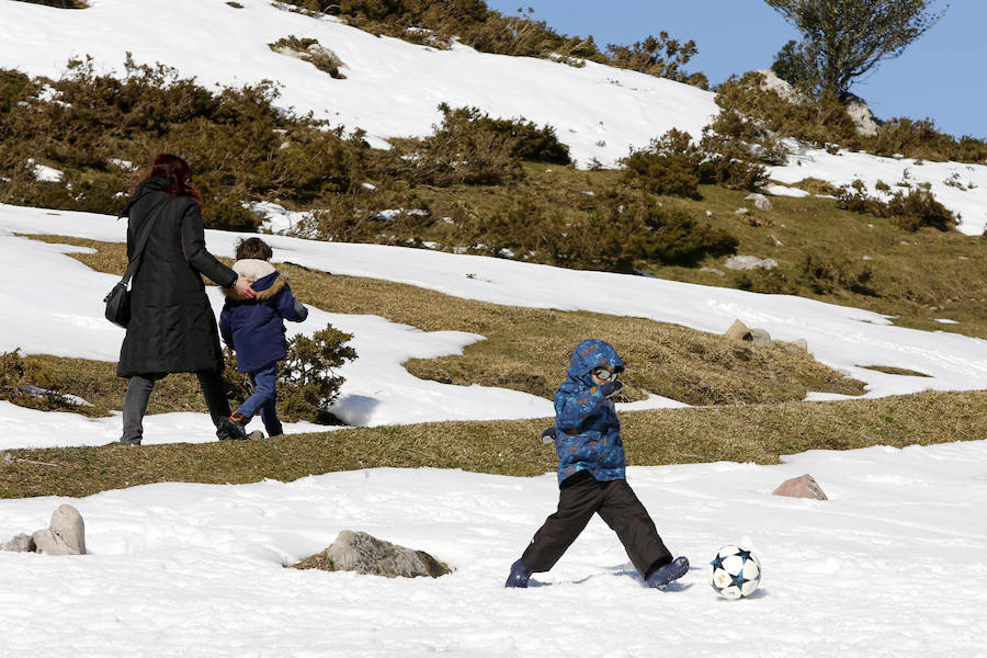 De Oriente a Occidente, el Principado ha disfrutado este sábado de un espléndido día para contemplar el paisaje o practicar deportes de invierno. 