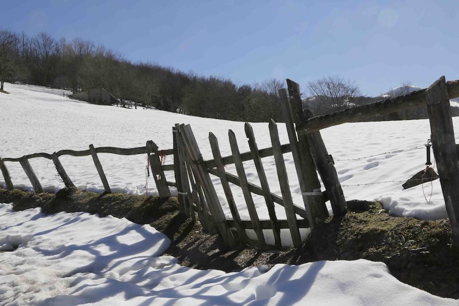 De Oriente a Occidente, el Principado ha disfrutado este sábado de un espléndido día para contemplar el paisaje o practicar deportes de invierno. 