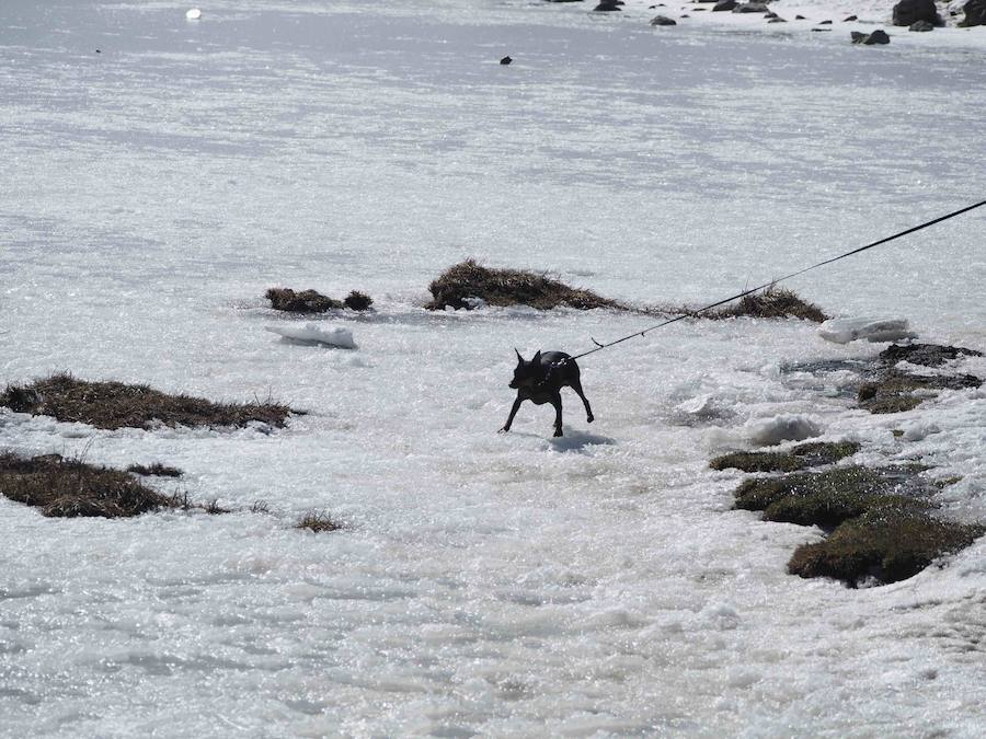 Fotos: La belleza helada de los lagos de Covadonga