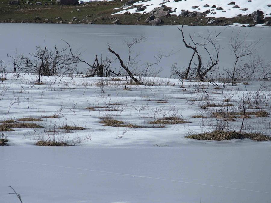 Fotos: La belleza helada de los lagos de Covadonga