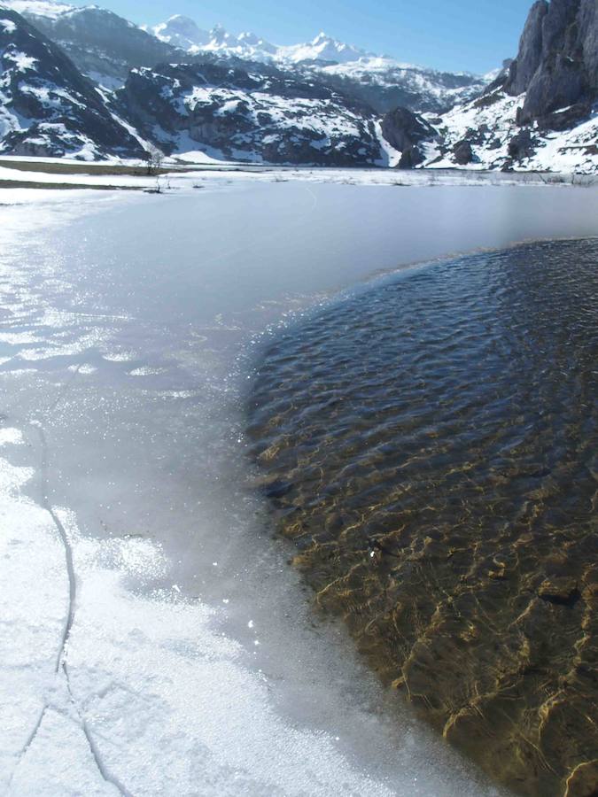 Fotos: La belleza helada de los lagos de Covadonga