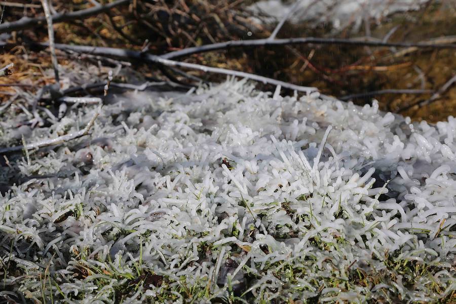 Fotos: Asturias se protege del frío siberiano