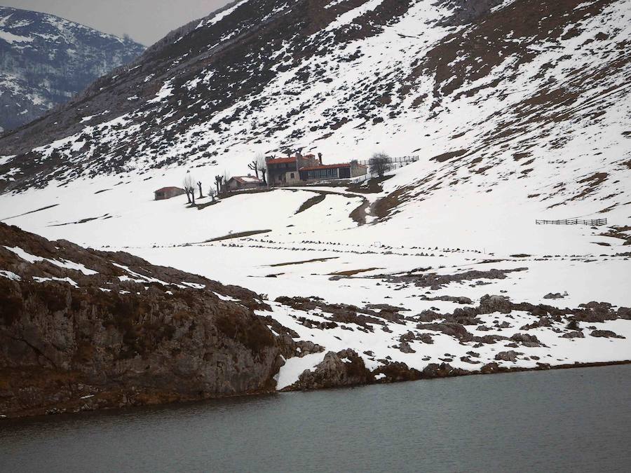 Fotos: Asturias se protege del frío siberiano