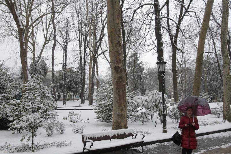 Fotos: Asturias amanece cubierta de nieve, incluso en la costa