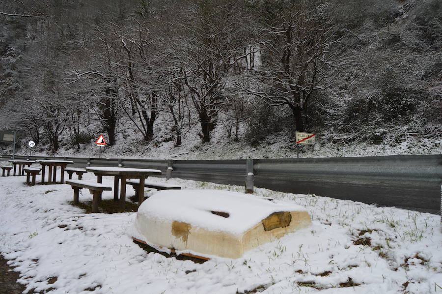 Fotos: El occidente asturiano amanece bajo un manto blanco