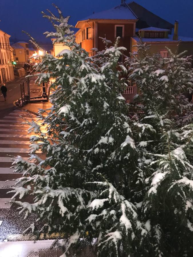 Fotos: El occidente asturiano amanece bajo un manto blanco