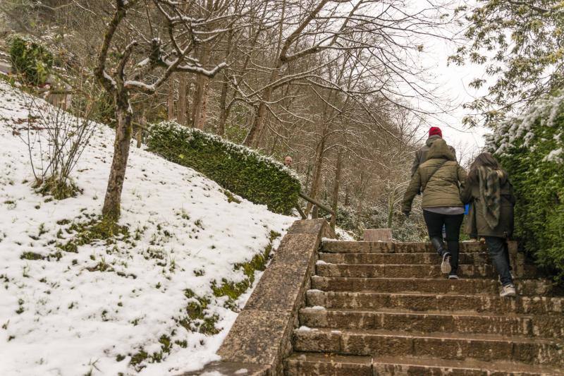 Fotos: La nieve cubre el oriente asturiano