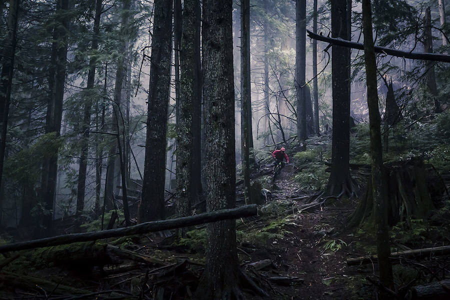 MOODY DAY IN THE FOREST ON NORTH SHORE, CANADA. - Mención de Honor: Aventura
