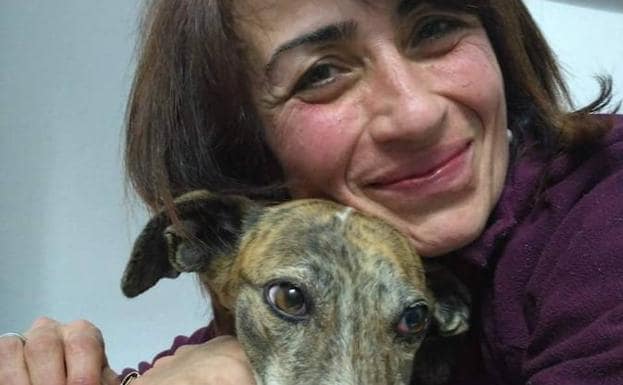 Aparece 'Rápida', la galga desaparecida hace una semana en Gijón