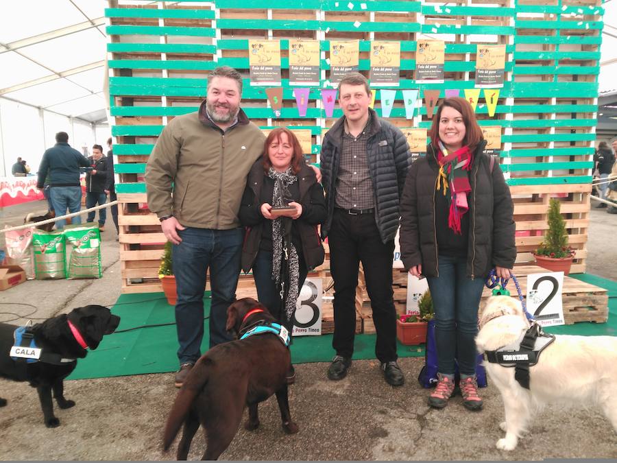 El recinto ferial de Tineo acoge la XXIV edición de la Feria del Perro, un evento convertido ya en referente dentro del panorama regional y nacional