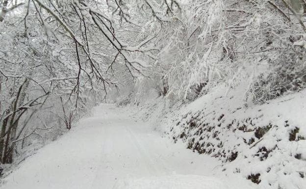 El suroccidente asturiano, en aviso amarillo por nevadas de hasta seis centímetros