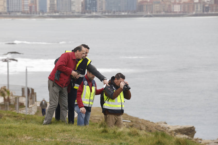Fotos: Dispositivo de búsqueda en Gijón de Lorena Torrre, la mujer desaparecida