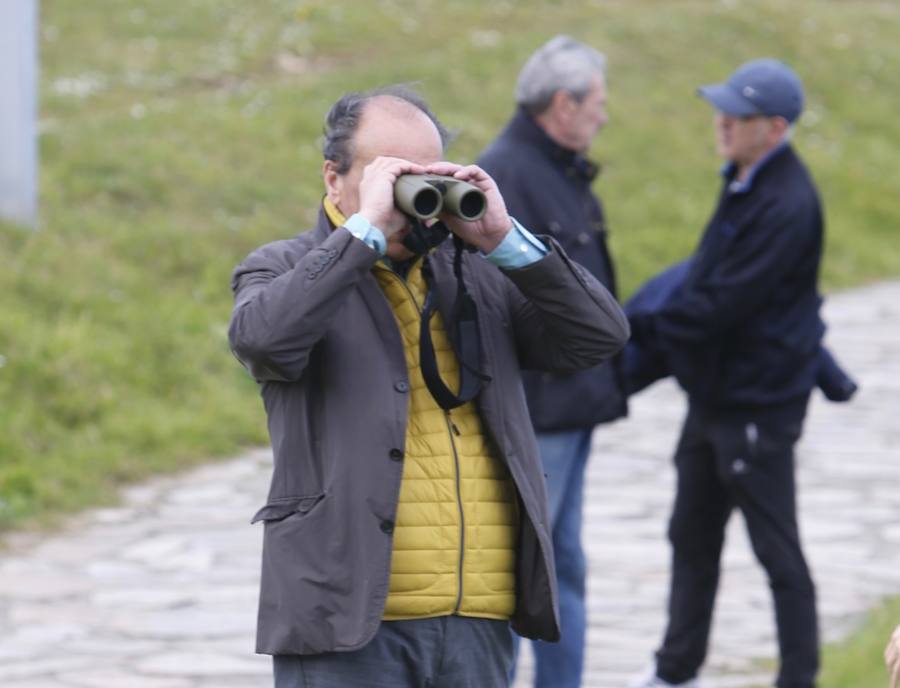 La búsqueda de Lorena Torre se ha reanudado este viernes. Más de cuarenta efectivos participan en el operativo, que rastrea la costa de Gijón en busca de algún indicio sobre la mujer, que desapareció el pasado día 1. 