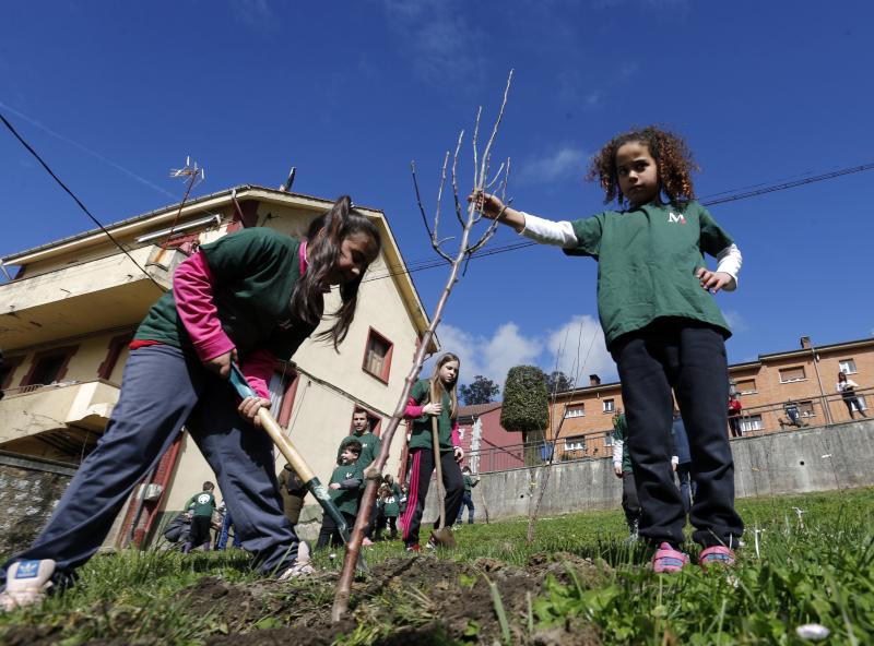 Decenas de alumnos de Primaria de Oviedo han participado en una plantación de árboles enmarcada en una jornada de sensibilización ambiental organizada por la corporación Masaveu. Los árboles, todos de especies autóctonos, repoblarán un terreno próximo a la fábrica de cemento. En la actividad han participado Alicia Castro Masaveu y el alcalde de Oviedo, Wenceslao López.