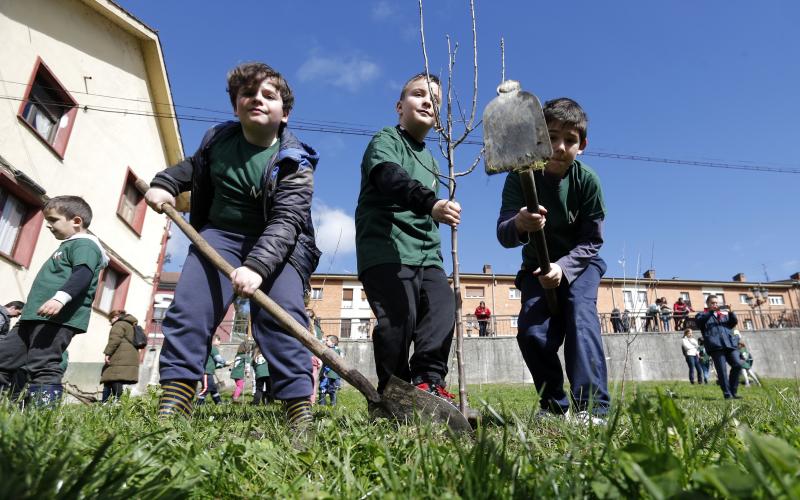 Decenas de alumnos de Primaria de Oviedo han participado en una plantación de árboles enmarcada en una jornada de sensibilización ambiental organizada por la corporación Masaveu. Los árboles, todos de especies autóctonos, repoblarán un terreno próximo a la fábrica de cemento. En la actividad han participado Alicia Castro Masaveu y el alcalde de Oviedo, Wenceslao López.