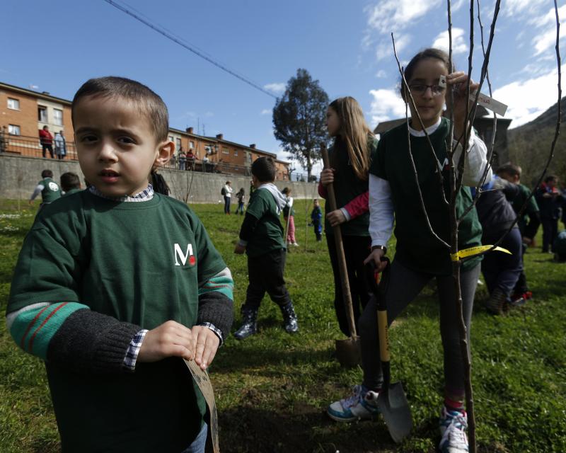 Decenas de alumnos de Primaria de Oviedo han participado en una plantación de árboles enmarcada en una jornada de sensibilización ambiental organizada por la corporación Masaveu. Los árboles, todos de especies autóctonos, repoblarán un terreno próximo a la fábrica de cemento. En la actividad han participado Alicia Castro Masaveu y el alcalde de Oviedo, Wenceslao López.