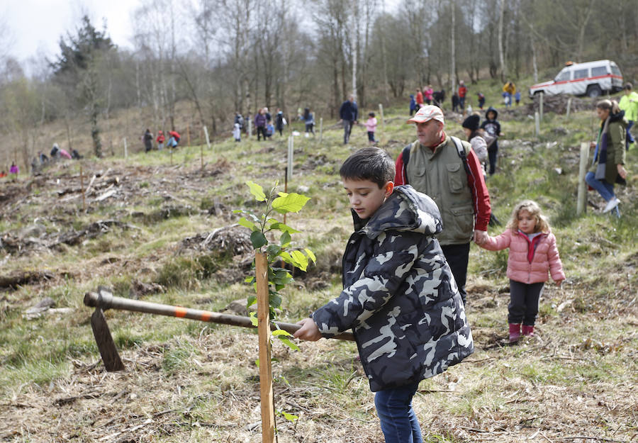 Fotos: El día de los Bosques trae nuevos árboles para el Monte Deva