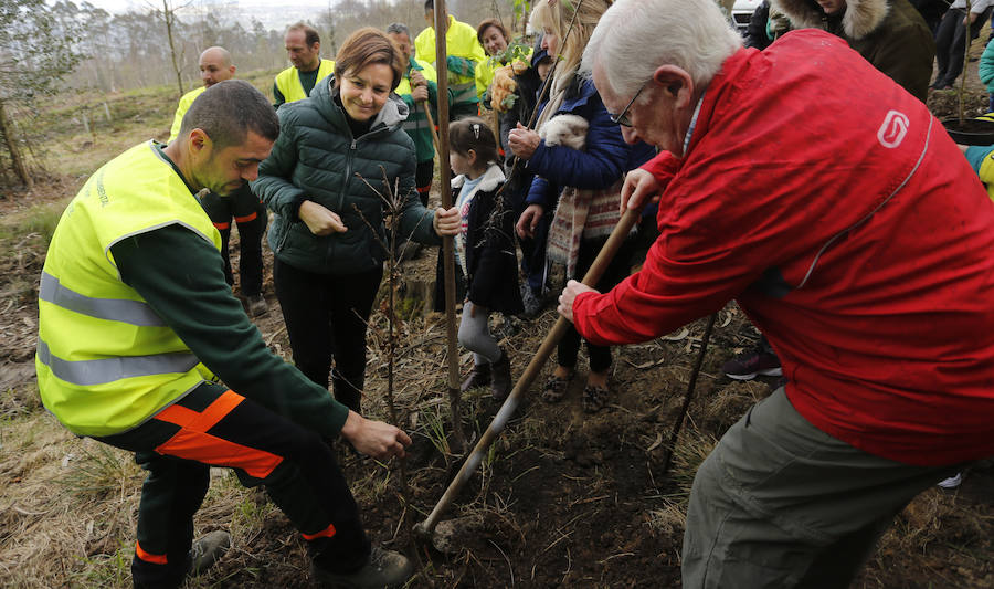 Fotos: El día de los Bosques trae nuevos árboles para el Monte Deva