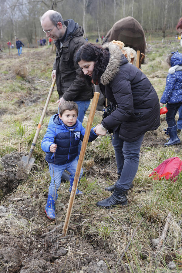 Fotos: El día de los Bosques trae nuevos árboles para el Monte Deva